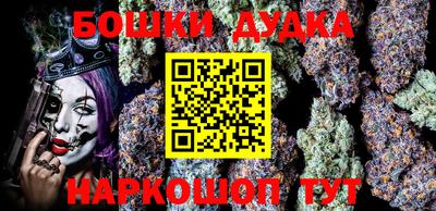 МДПВ Будённовск