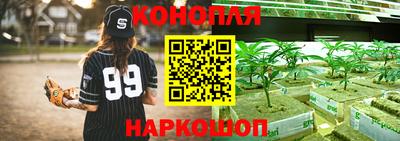 прущие грибы Бугуруслан