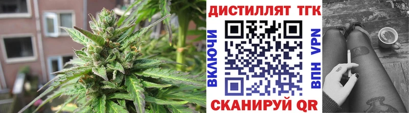 закладка  Елабуга  ТГК гашишное масло 
