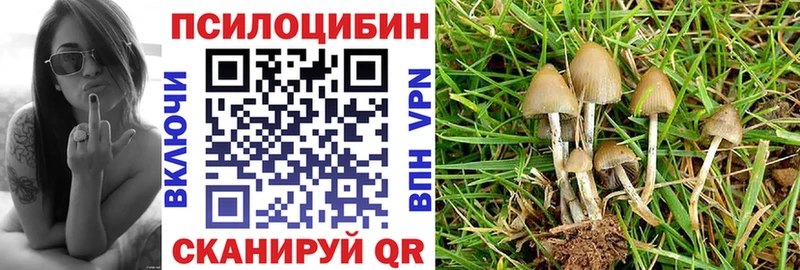 цена   Елабуга  Галлюциногенные грибы ЛСД 