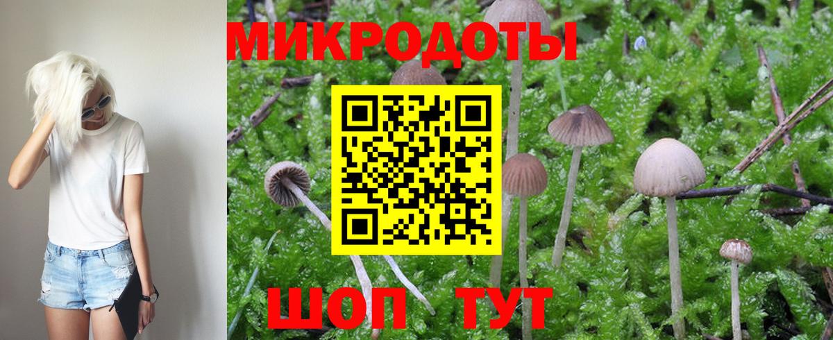 Галлюциногенные грибы MAGIC MUSHROOMS Елабуга