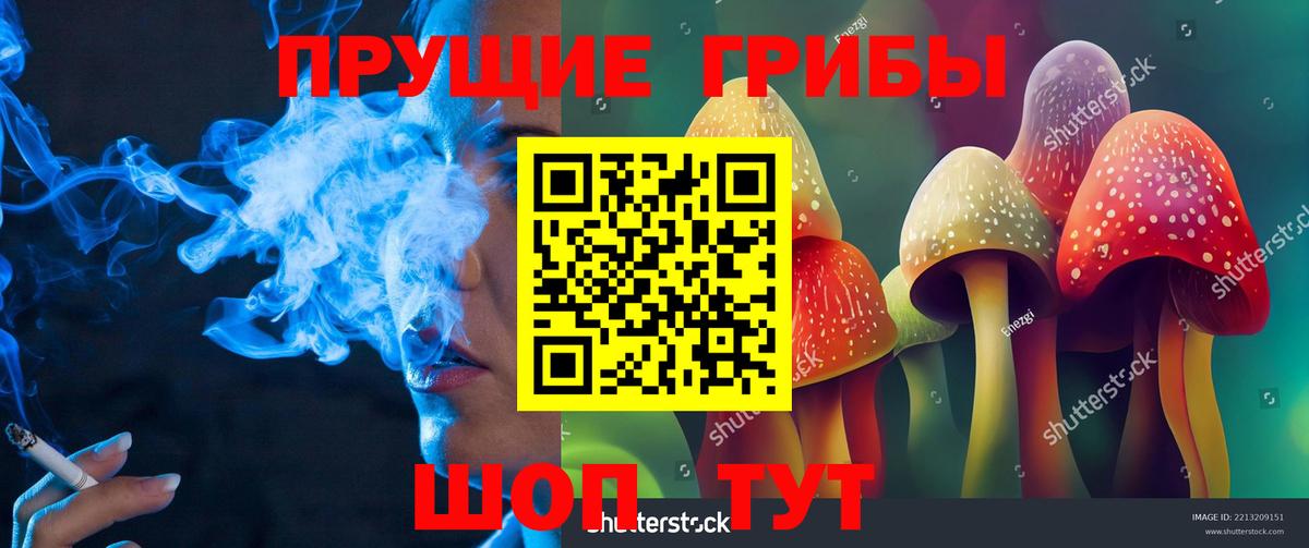 Псилоцибиновые грибы мицелий  как найти   Псилоцибиновые грибы прущие грибы  Елабуга  Вход с VPN 
